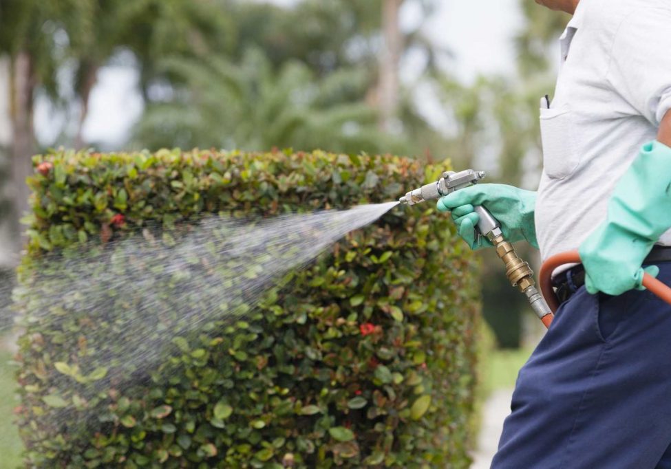 pest-control_ss_197154389
